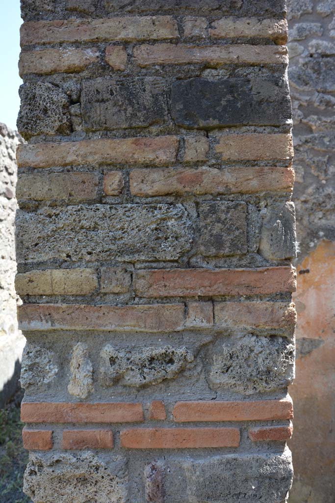 IX.5.2 Pompeii. May 2017. Room ‘g’, looking south, detail of pilaster on south wall of doorway. 
Foto Christian Beck, ERC Grant 681269 DÉCOR.
