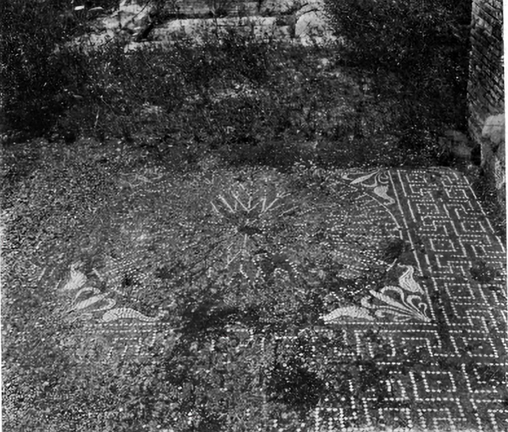 IX.5.2 Pompeii. c.1930. Looking north across central emblema in tablinum.
According to Blake 
Similar (to VII.6.28) is the pavement of the tablinum of IX.V.2, both in the grade of cement and in the pattern.
To the floral design at each corner dolphins are added, and, instead of reticulate, the imbrication pattern decorates the threshold. 
Since a type of brick wall not known at Pompeii until the early Empire rests upon the cement, this pavement is relatively early.
See Blake, M., (1930). The pavements of the Roman Buildings of the Republic and Early Empire. Rome, MAAR, 8, (p.26, Pl.3, tav.1).
