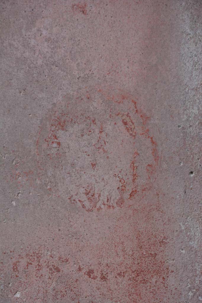 IX.5.11 Pompeii. March 2017. Room e, detail from medallion on east end of south wall. 
Foto Christian Beck, ERC Grant 681269 DCOR.
