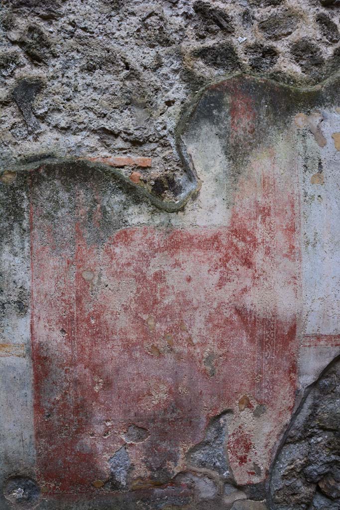 IX.5.11 Pompeii. March 2017. Room d, central panel from south wall.     
Foto Christian Beck, ERC Grant 681269 DCOR
