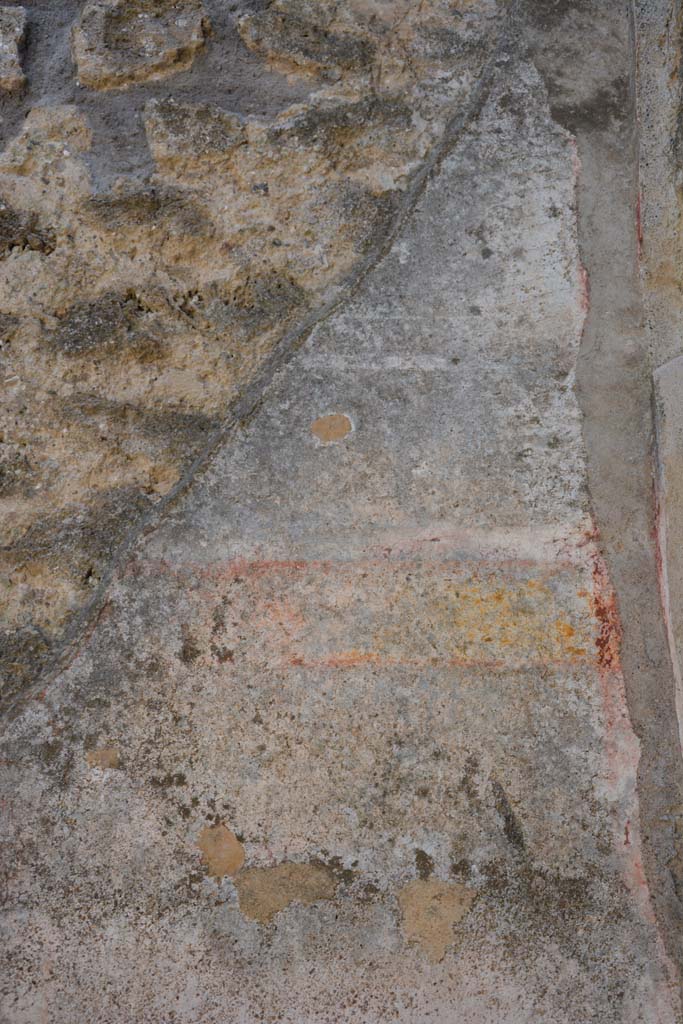 IX.5.11 Pompeii. May 2017. 
Room d, detail of painted decoration at upper west end of south wall.
Foto Christian Beck, ERC Grant 681269 DCOR.
