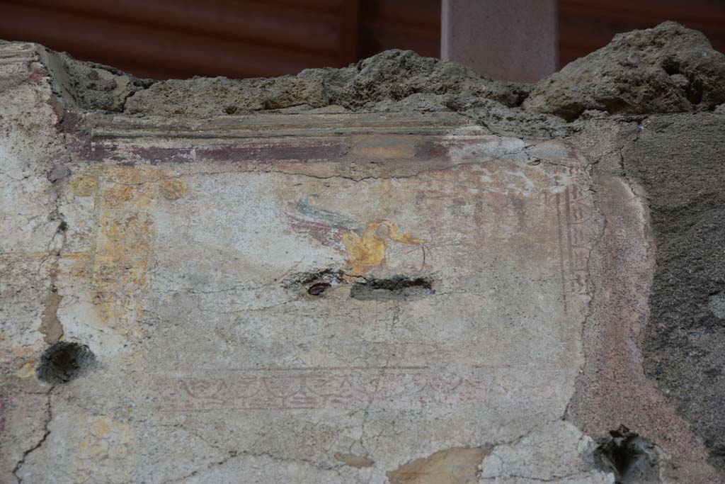 IX.5.11 Pompeii. March 2017. Room i, detail of painted swan and painted decoration from upper centre of west wall.
Foto Christian Beck, ERC Grant 681269 DCOR.

