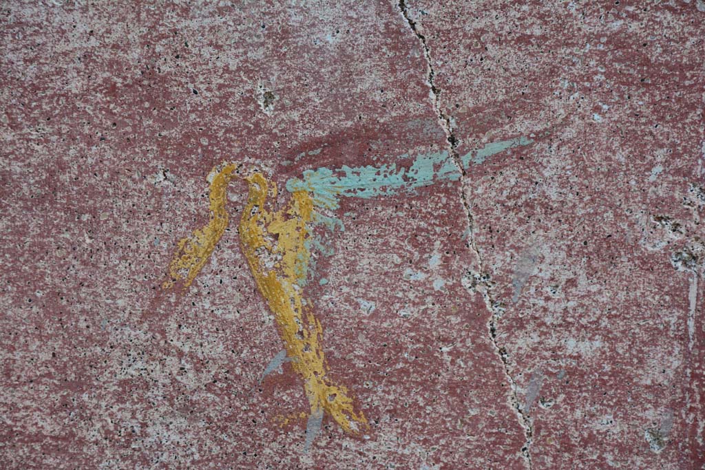 IX.5.11 Pompeii. March 2017. Room I (L), detail of painted swan from zoccolo on east wall.
Foto Christian Beck, ERC Grant 681269 DCOR.
