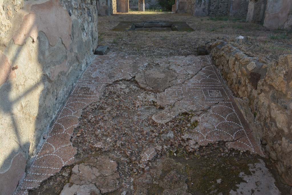 IX.6.4 Pompeii. October 2019. Looking east across decorative mosaic towards atrium with impluvium.
Foto Annette Haug, ERC Grant 681269 DÉCOR.
