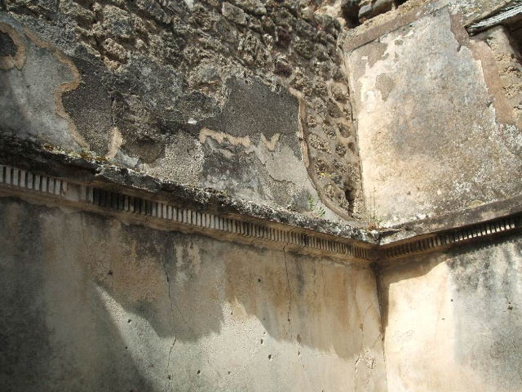 IX.6.5 Pompeii. May 2005. West and north wall of room “c”, with stucco cornice moulding.