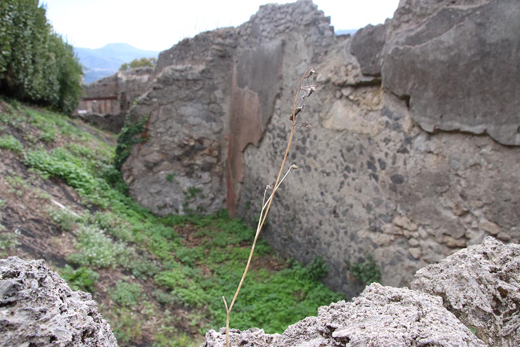 IX.7.12 Pompeii. October 2024. Room 5, looking south along west wall in triclinium. Photo courtesy of Klaus Heese.