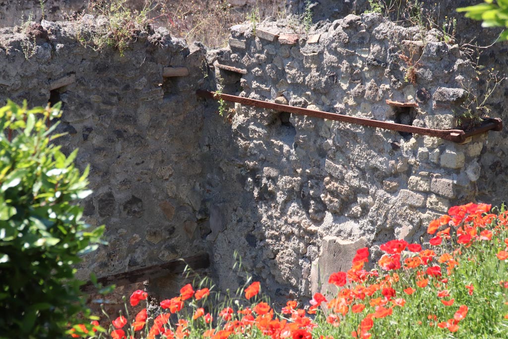 IX.7.14 Pompeii. May 2024. 
Looking north-west towards upper wall above doorway, leading into Vicolo di Tesmo, from Casina dell’Aquila. Photo courtesy of Klaus Heese.
