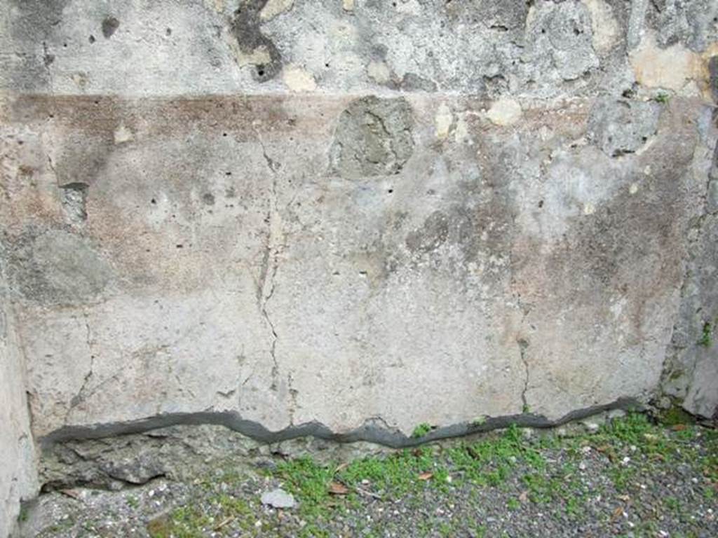 IX.8.2 Pompeii.  March 2009. Remains of painted plaster on base of east wall of front room of shop.