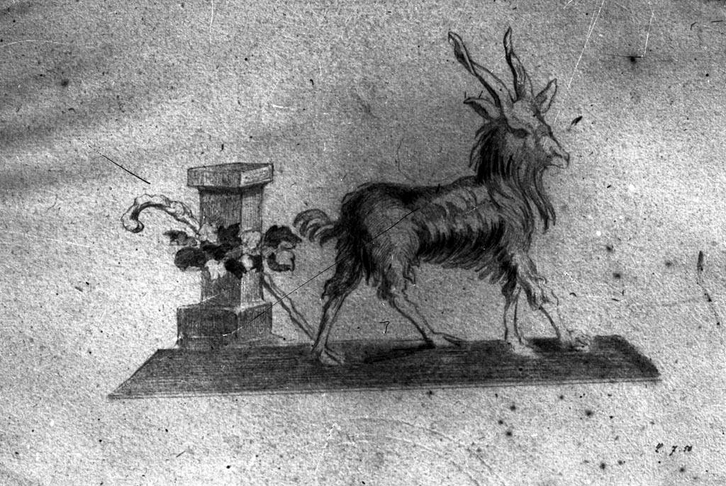 IX.8.6 Pompeii. W.1460. Drawing of goat, base, garland and crook, from side panel of east wall of room 4.
Photo by Tatiana Warscher. Photo © Deutsches Archäologisches Institut, Abteilung Rom, Arkiv. 
