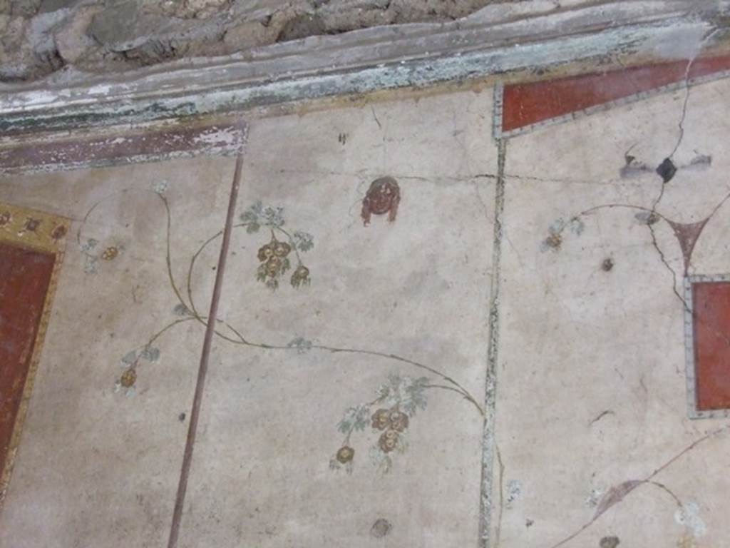 IX.9.c Pompeii. March 2009. Upper east wall of cubiculum. Painted plants and mask.
