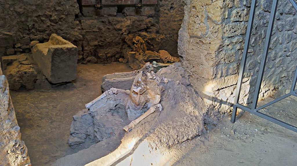 IX.12.8 Pompeii. 2016/2017. 
Skeleton of a mule or donkey, lying in the doorway of the stable. Photo courtesy of Giuseppe Ciaramella.
