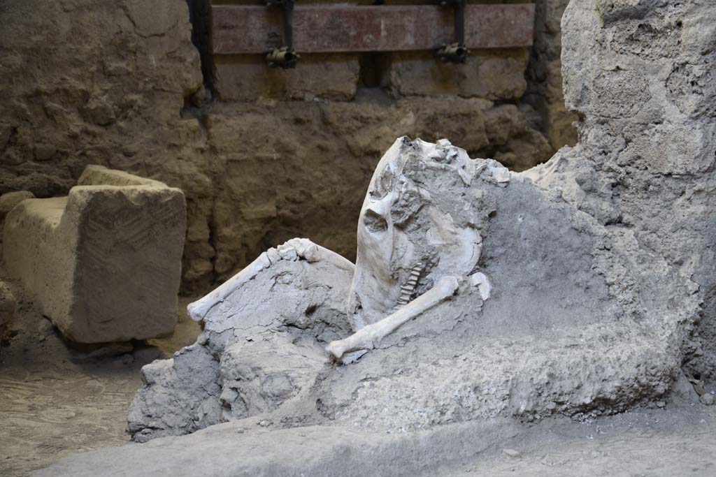 IX.12.8 Pompeii. February 2017. Detail of head of skeleton of mule or donkey in doorway of stable. Photo courtesy of Johannes Eber.