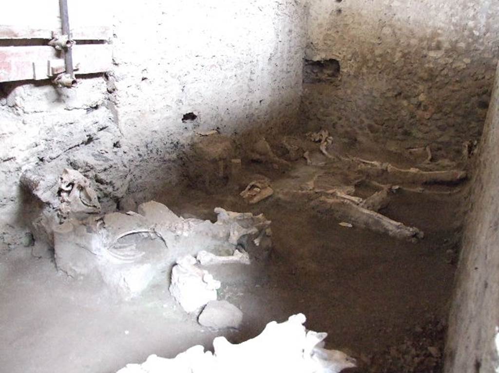 .IX.12.8 Pompeii. December 2006. Looking north-west across skeletons in stables.

