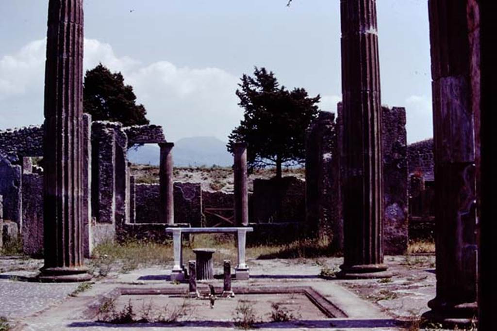 IX.14.4 Pompeii, 1978. Looking south across impluvium in atrium. Photo by Stanley A. Jashemski.   
Source: The Wilhelmina and Stanley A. Jashemski archive in the University of Maryland Library, Special Collections (See collection page) and made available under the Creative Commons Attribution-Non Commercial License v.4. See Licence and use details. J78f0219

