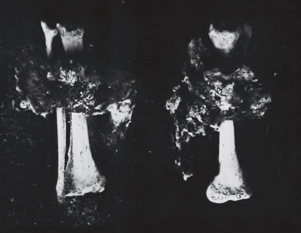 HGE12 Pompeii. 17th October 1905. Photo of iron fetters around leg bones of a slave. See Notizie degli Scavi di Antichità, 1910, p. 259-260, fig. 3.