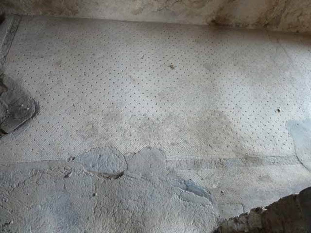 Villa of Mysteries, Pompeii. May 2010. Passage 13 mosaic floor.