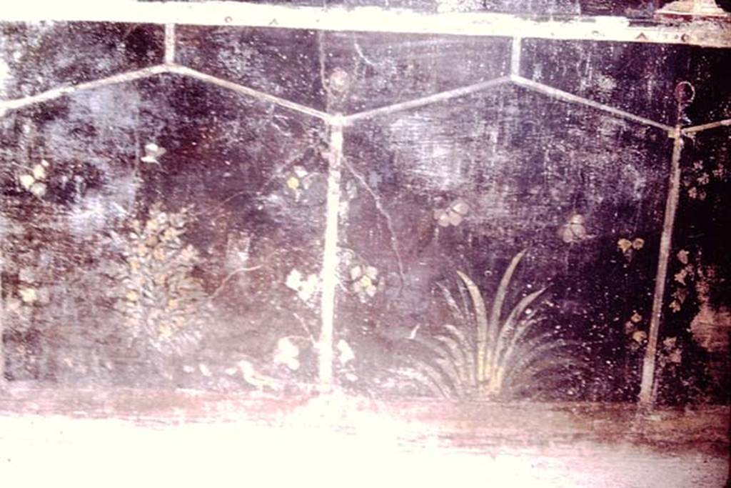 Villa of Mysteries, Pompeii. 1966. Room 2, tablinum, detail of painted plants from west end of the north wall. Photo by Stanley A. Jashemski.
Source: The Wilhelmina and Stanley A. Jashemski archive in the University of Maryland Library, Special Collections (See collection page) and made available under the Creative Commons Attribution-Non Commercial License v.4. See Licence and use details.
J66f1032
