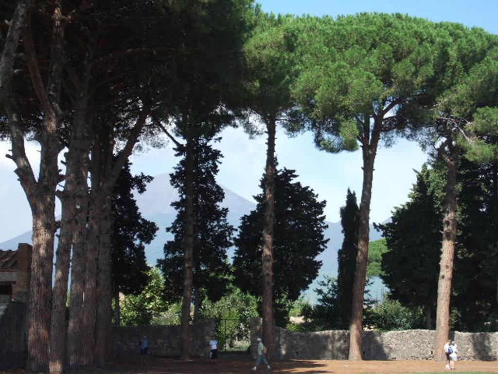 Via di Castricio. September 2005. Looking north from Piazzale Anfiteatro towards gate of II.4.9 and Vesuvius behind the trees. 
