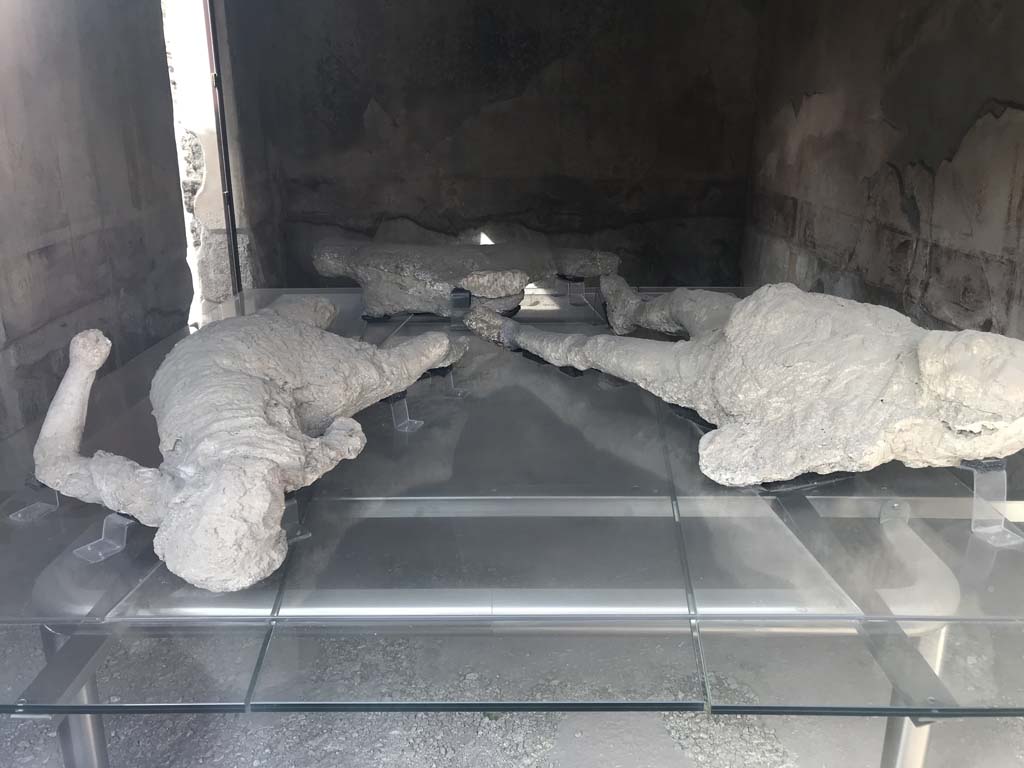 Vicolo degli Scheletri, Pompeii. April 2019. 
Three of the four plaster-casts of a family group found in the Vicolo degli Scheletri in February 1863.
Photo courtesy of Rick Bauer.
