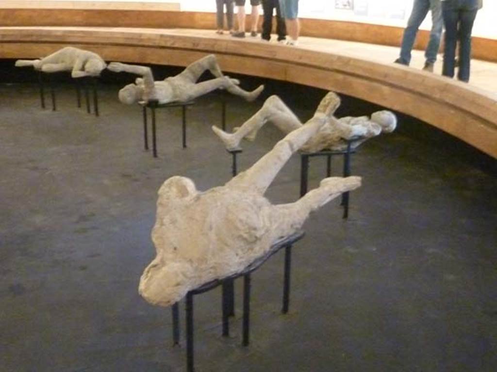 Vicolo degli Scheletri. September 2015. Plaster cast of victim numbered 1 on display in the amphitheatre.
He was found 3rd February 1863, with no precise location, just intersection of two of the alleyways/small roadways in Reg. VII separating insulae10, 11, 13 and 14, at a height of five metres above the ancient street level. 

