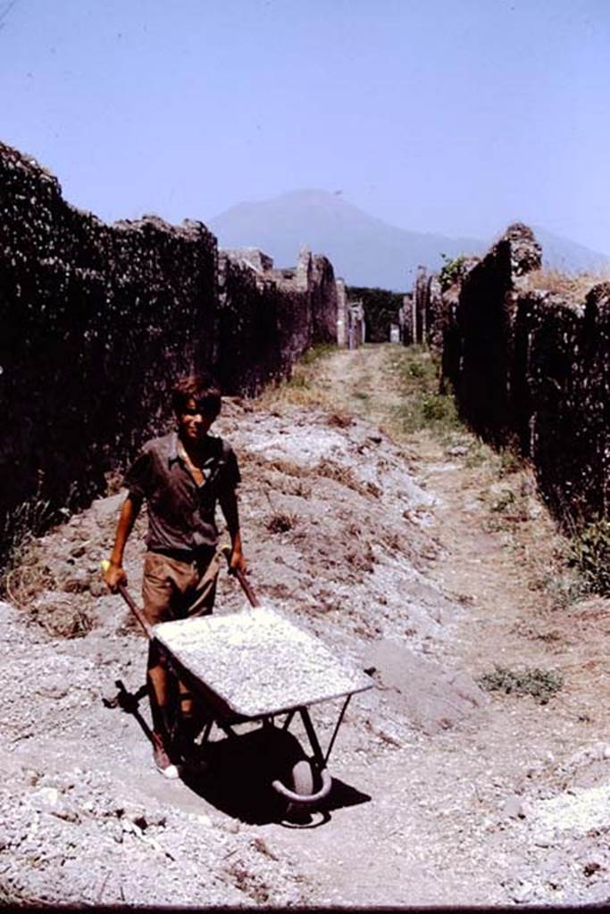 Vicolo dei Fuggiaschi between I.15 and I.14, Pompeii. 1972. Looking north. Photo by Stanley A. Jashemski. 
Source: The Wilhelmina and Stanley A. Jashemski archive in the University of Maryland Library, Special Collections (See collection page) and made available under the Creative Commons Attribution-Non Commercial License v.4. See Licence and use details. J72f0587
