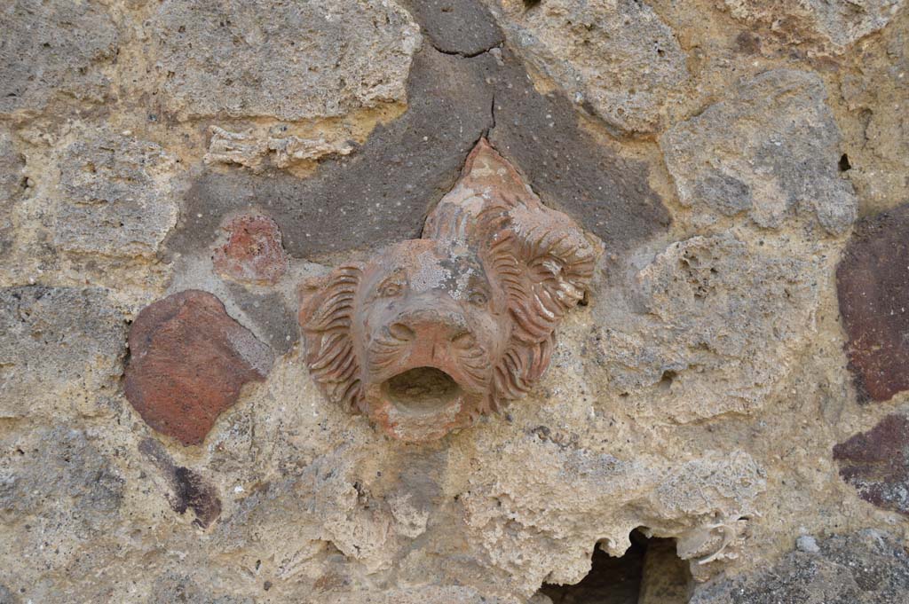 Vicolo del Centenario. March 2018.  Terracotta lion embedded in upper level masonry near IX.5.14. 
Foto Taylor Lauritsen, ERC Grant 681269 DÉCOR.
