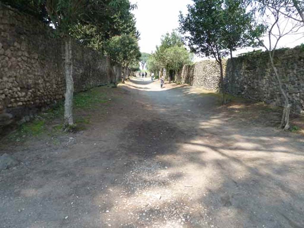 Vicolo del Anfiteatro, May 2010. Looking north between II.4 and II.5, from junction with Piazzale Anfiteatro.