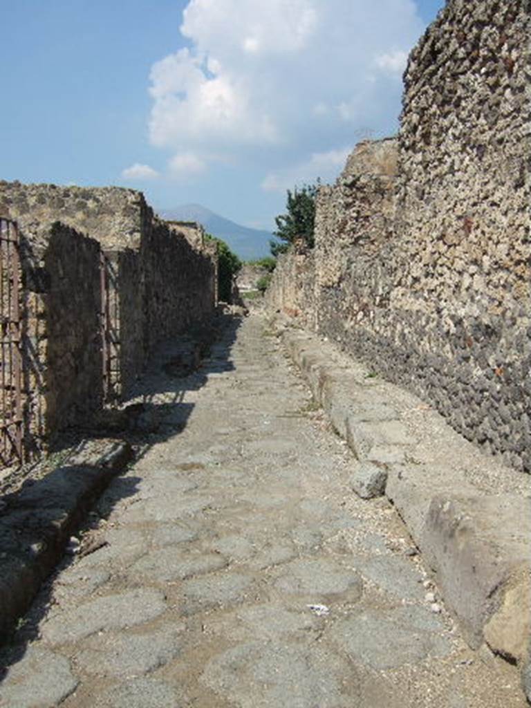 Vicolo di Modesto between VI.2 and VI.5. Looking north from VI.2.31. September 2004.