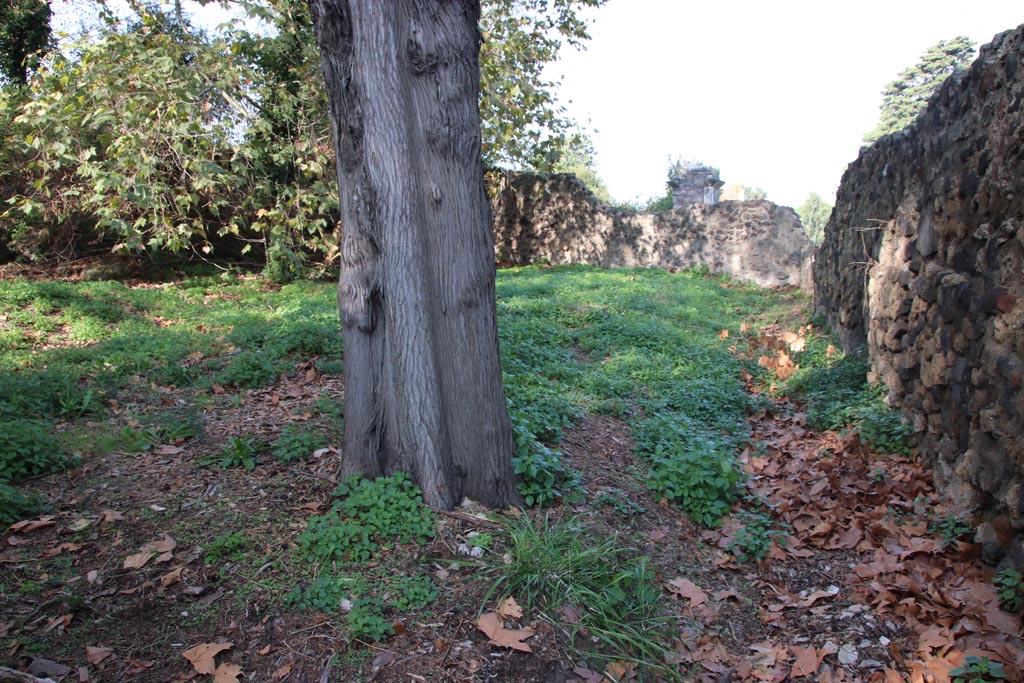 HGW15a Pompeii. October 2023. Looking north. Photo courtesy of Klaus Heese.

