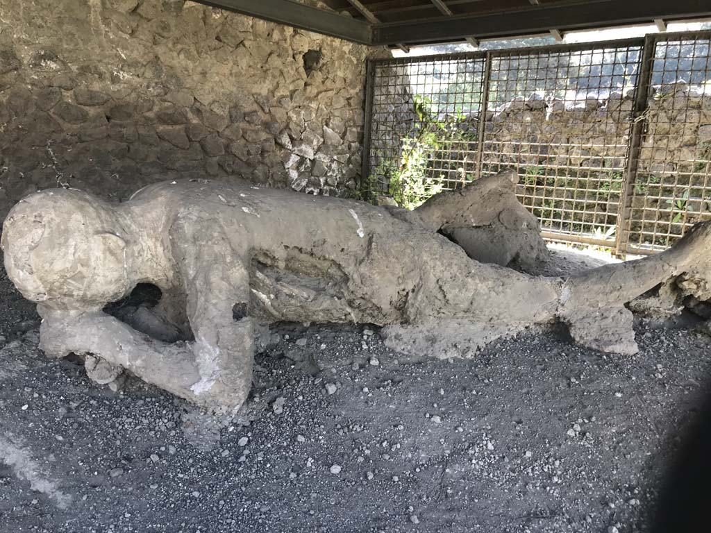 Pompeii, outside Porta Nocera. April 2019. Plaster cast of remains of a fleeing victim found in September 1956. 
Photo courtesy of Rick Bauer. 

