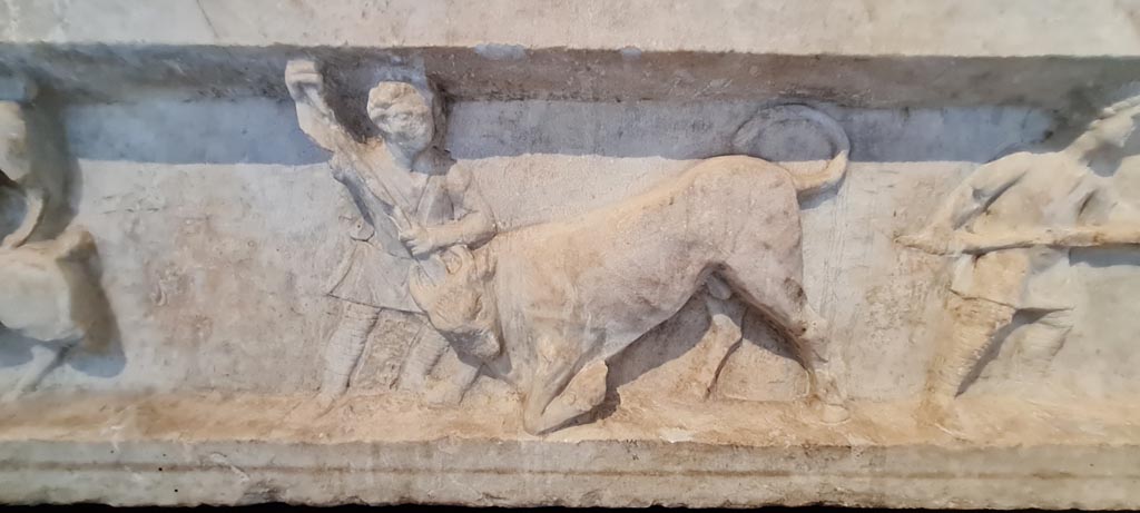 SG6 Pompeii. April 2023. Detail of venatio or staged hunt from lower row. Photo courtesy of Giuseppe Ciaramella.

