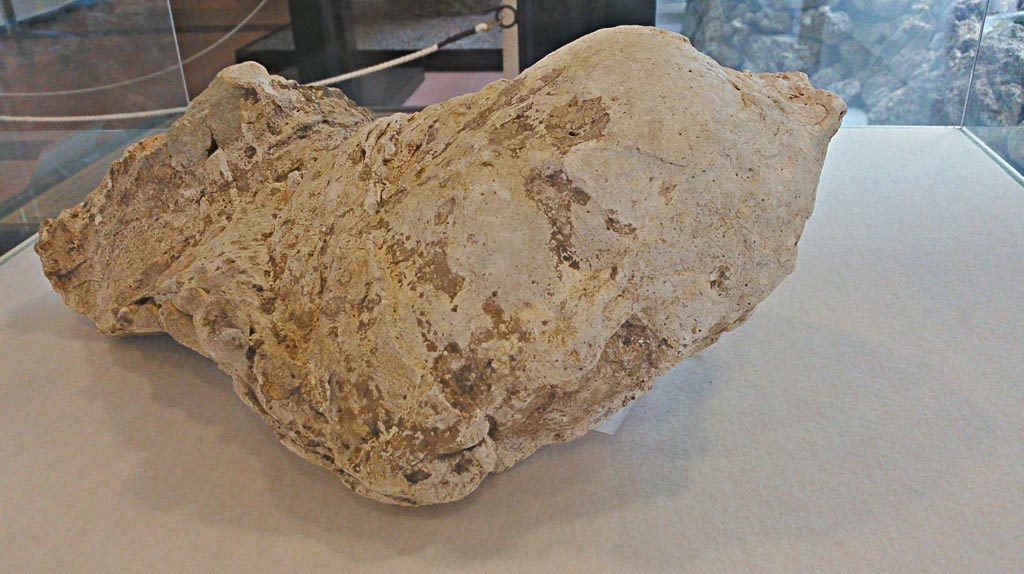 Villa della Pisanella, Boscoreale. May 2018. Torcularium P. Plaster-cast of the head of a woman, with raised hair and drapery around her neck and mouth. Next to it were found two gold earings with topaz.
Now in Boscoreale Antiquarium, inventory number 25898. Photo courtesy of Buzz Ferebee.

