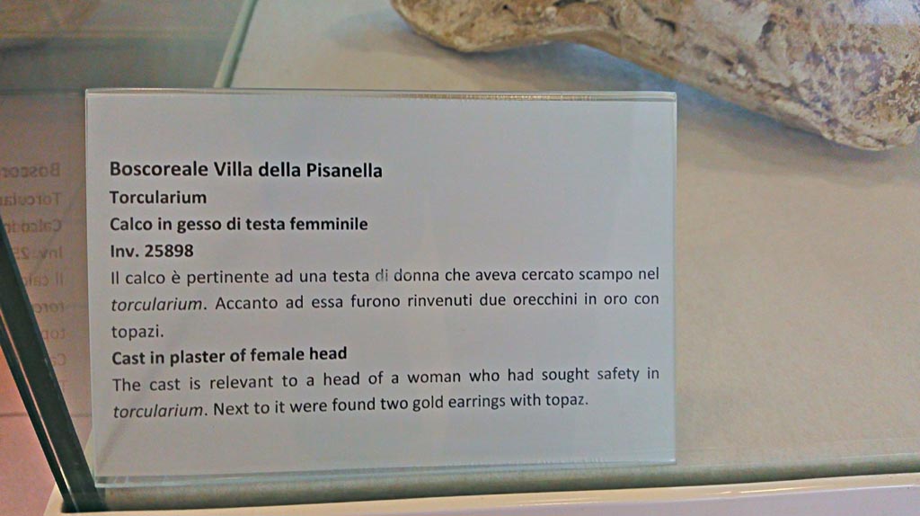Villa della Pisanella, Boscoreale. Gold earrings with green (glass according to Louvre) inserts. 
Now in the Louvre. Inventory numbers BJ408 and BJ409. Photo (C) RMN-Grand Palais (musée du Louvre)/Tony Querrec.
