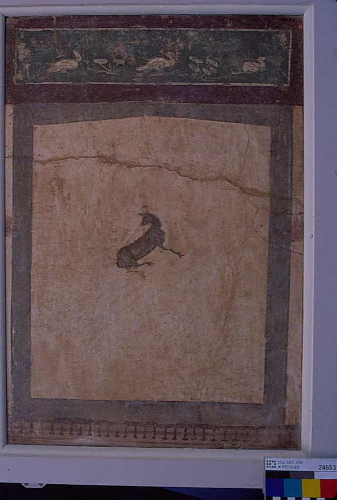 Villa della Pisanella, Boscoreale. Fresco fragment. Decorative compartment with border and top piece detached from a white ground. 
Design figure of a deer gazing backwards. Dimensions 2 feet 3 inches x 1 foot 7 inches
Photo © Field Museum of Natural History - CC BY-NC.
Now in the Field Museum, inventory number 24653. See in Field Museum


