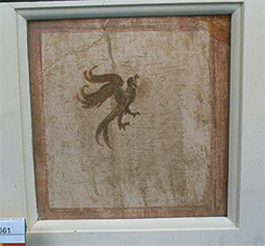Villa della Pisanella, Boscoreale. Fresco fragment. Small decorative compartment with bird. 
Quadrangular border, flying bird or griffin with curved beak, outspread toes or talons. 
No. 24661 is perhaps from an upper division, or possibly from the ceiling.
Photo © Field Museum of Natural History - CC BY-NC.
Now in the Field Museum, inventory number 24661. See in Field Museum
