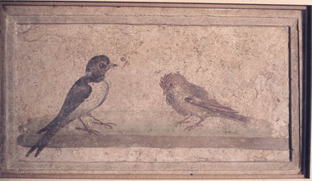 Villa rustica del fondo Ippolito Zurlo, Pompeii. Room C cubiculum, east wall, centre panel. 
Painting with a swallow and a sparrow or hoopoe (?).
Photo  Trustees of the British Museum. Inventory number 1899.2-15.5.
See Swallow and sparrow wall painting  at britishmuseum.org
