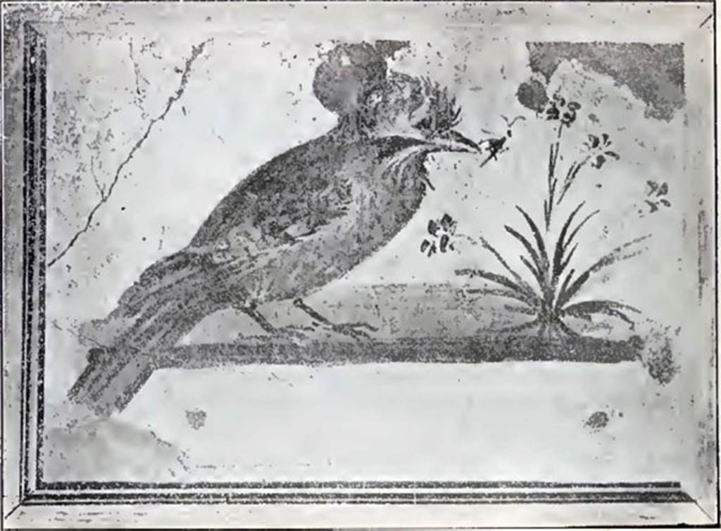 Villa rustica del fondo Ippolito Zurlo, Pompeii. 1897, room C cubiculum, south wall. According to Sogliano, in the south or rear wall, was another picture with the representation of a speckled bird pecking at a flowering plant. See Notizie degli Scavi di Antichit, 1897, p. 398, fig. 6.