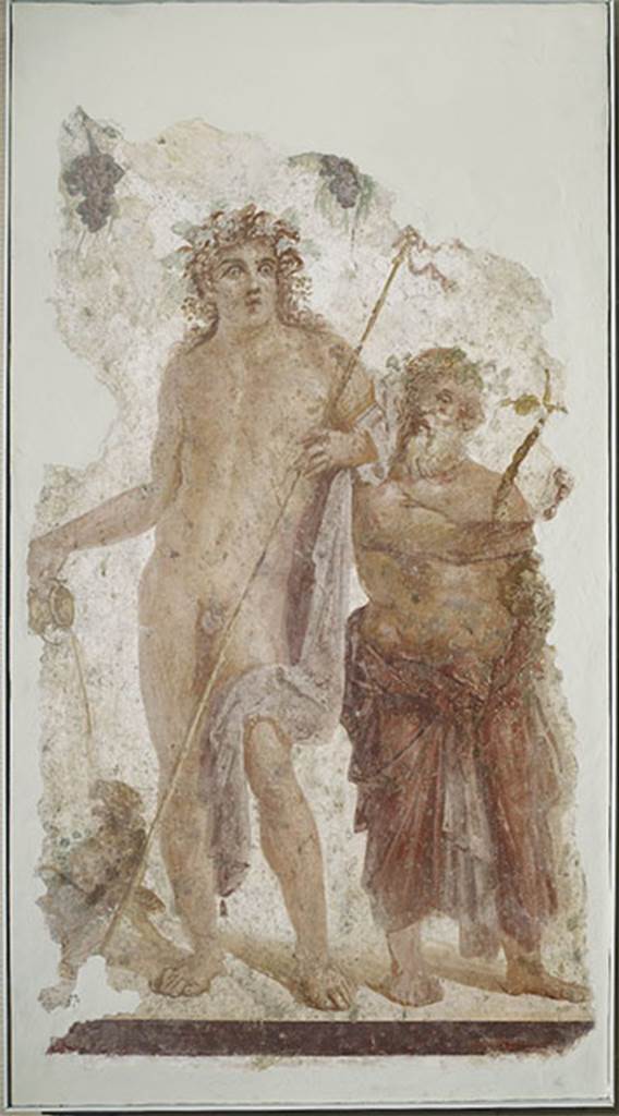 Villa rustica del fondo Ippolito Zurlo, Pompeii. Torcularium H.
Painting of Bacchus and Silenus from the pillar to the right of the small entrance doorway. 
Bacchus, 0.76m high, crowned with vine-leaves and naked except for a purple cloak, leans limply with left elbow on the right shoulder of Silenus, nearby. 
The purple cloak, turned around the left elbow, fell down the left side and fell over the knee.
He holds the long thyrsus with the left hand, and his right hand is outstretched, pouring the wine into the mouth of the panther, who was squatting at his feet. 
The god is looking upwards.  
Silenus, 0.62m high crowned with a grapevine and also naked on his top, had his loins wrapped in a purple cloak which was knotted at his belly. 
He was in the act of touching the lyre, which he held leaning on his left arm, and with his gaze turned to the god. 
The background was white, and from the top hung a garland of vine-leaves and grapes.
Photo  Trustees of the British Museum. Inventory number 1899.215.1.
Bacchus, Silenus and panther at britishmuseum.org