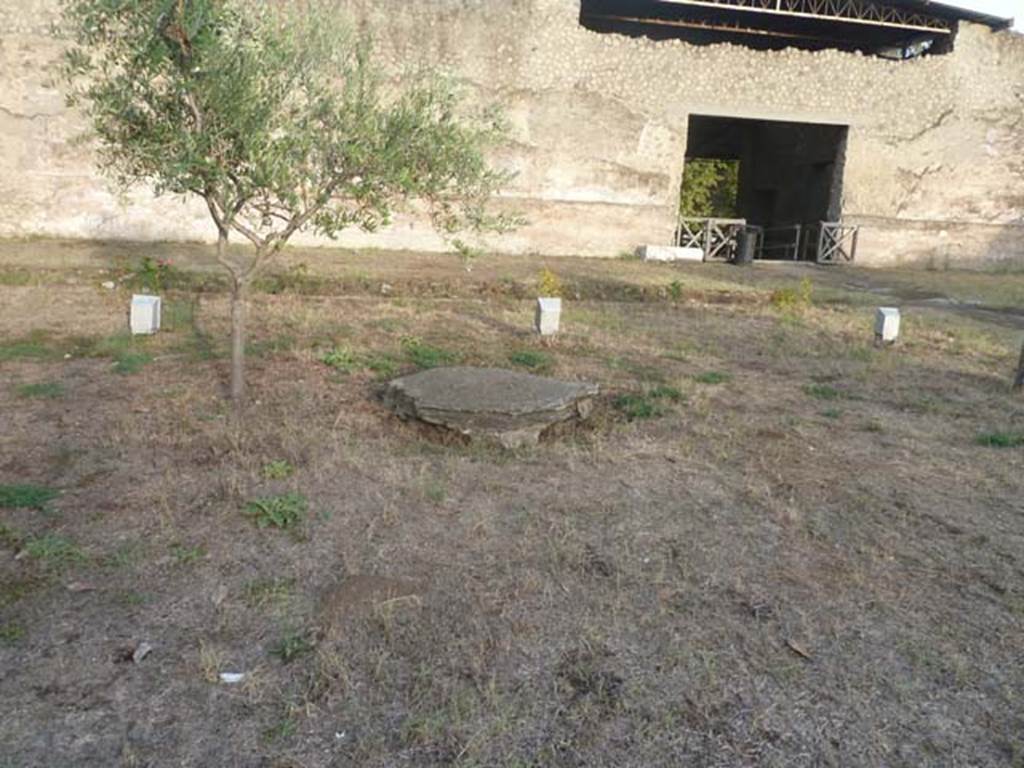 Oplontis Villa of Poppea, October 2020. Looking east along pathway towards doorway to Exedra 69.
The remains of one of Wilhelmina’s root cavity plaster-casts which she proved had been a large clump of shrubs, probably oleanders, can be seen on the left.
Photo courtesy of Klaus Heese.
