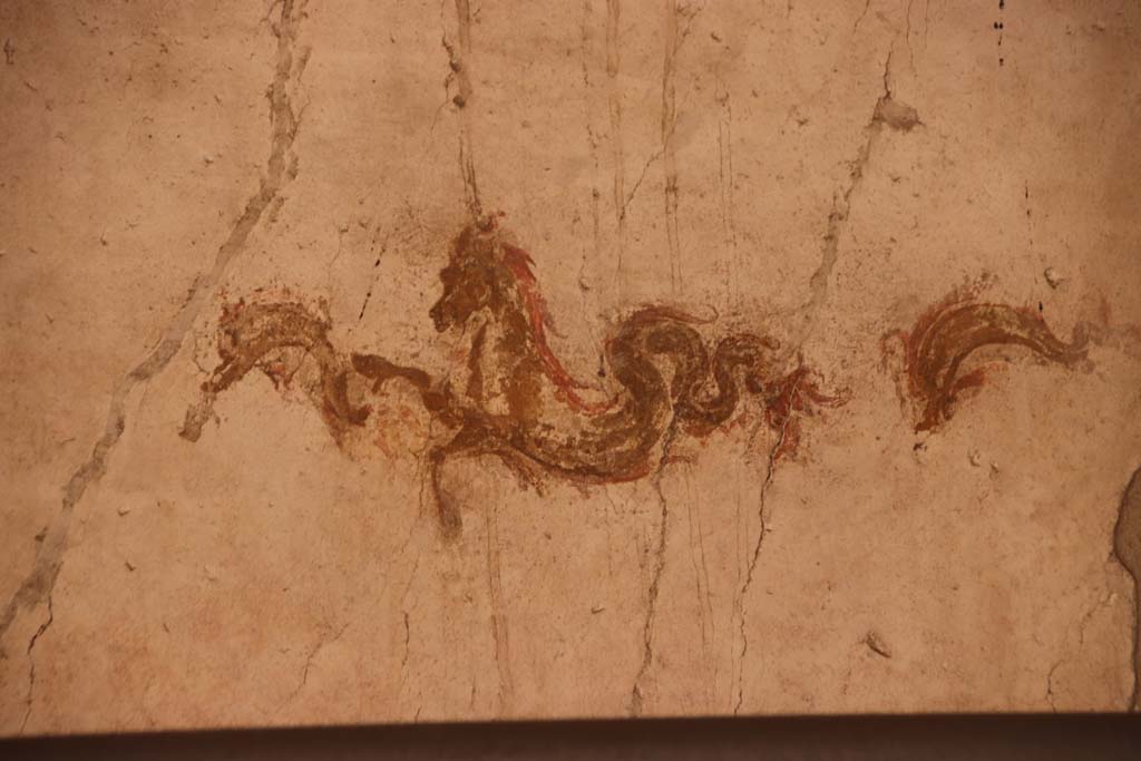 Oplontis Villa of Poppea, October 2020. Room 4, detail of marine-horse and two dolphins from upper south wall. Photo courtesy of Klaus Heese.