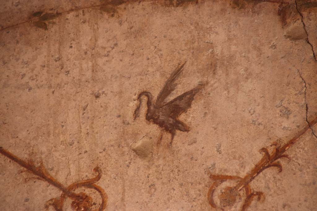 Oplontis Villa of Poppea, October 2020. Room 4, detail of painted swan on north wall in north-west corner. 
Photo courtesy of Klaus Heese. 
