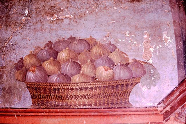 Oplontis Villa of Poppea, 1976. Room 14, triclinium. Painted figs in a basket. Photo by Stanley A. Jashemski.
Source: The Wilhelmina and Stanley A. Jashemski archive in the University of Maryland Library, Special Collections (See collection page) and made available under the Creative Commons Attribution-Non Commercial License v.4. See Licence and use details. J76f0370
