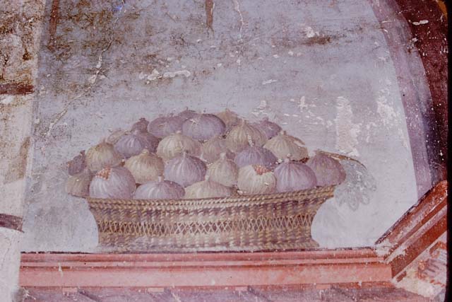 Oplontis Villa of Poppea, 1975. Room 14, triclinium. Painted figs in a basket. Photo by Stanley A. Jashemski.
Source: The Wilhelmina and Stanley A. Jashemski archive in the University of Maryland Library, Special Collections (See collection page) and made available under the Creative Commons Attribution-Non Commercial License v.4. See Licence and use details. J75f0256

