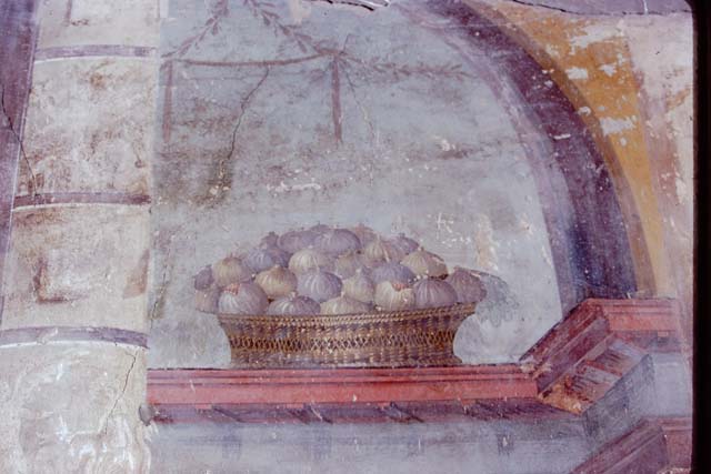 Oplontis Villa of Poppea, 1972 (or 1973). Room 14, triclinium.  Painted basket of figs. Photo by Stanley A. Jashemski. 
Source: The Wilhelmina and Stanley A. Jashemski archive in the University of Maryland Library, Special Collections (See collection page) and made available under the Creative Commons Attribution-Non Commercial License v.4. See Licence and use details. J72f0267
