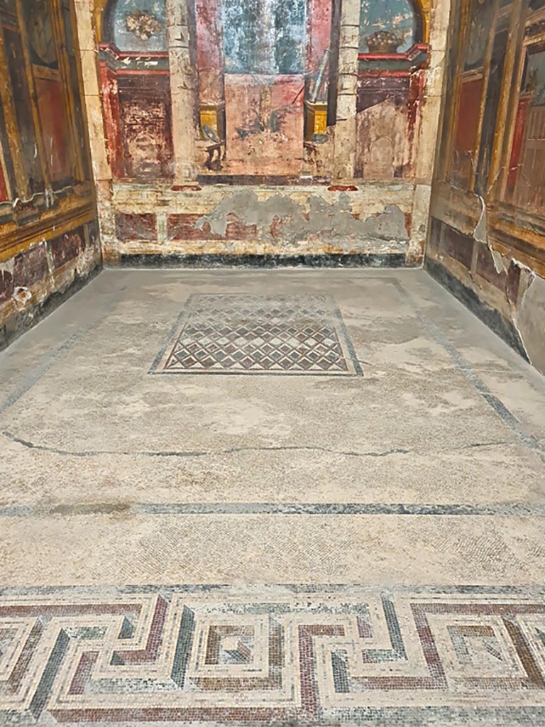 Oplontis, May 2011. Room 14, mosaic floor in triclinium, looking north. Photo courtesy of Michael Binns.