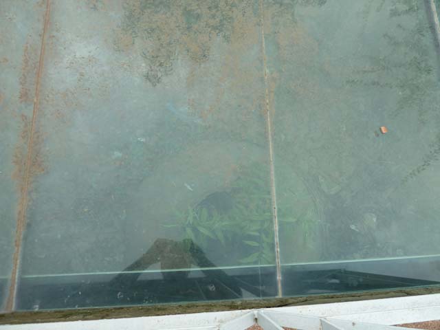 Oplontis, September 2015. Dolium embedded in soil in north garden, under glass.

 
