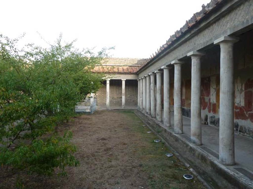 Oplontis, May 2011. Room 34, east portico, looking south-east from replanted north garden. Photo courtesy of Buzz Ferebee.
