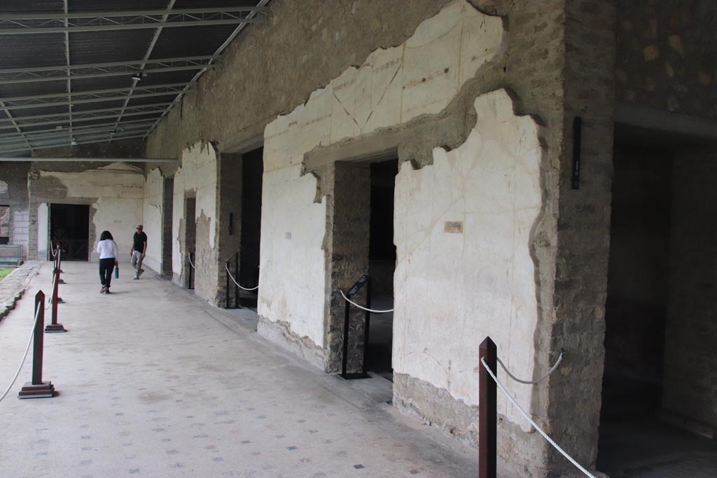 Oplontis, September 2015. Area 60, west wall of portico, painted panel immediately north of doorway to room 75.