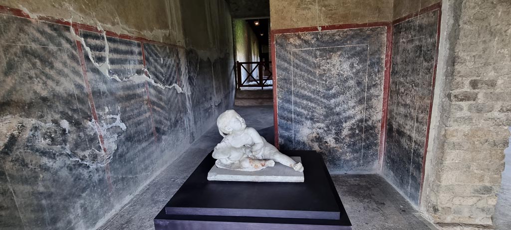 Oplontis Villa of Poppea, January 2023. 
Corridor 63, looking west towards white marble statue of a young child with a goose, on display in corridor. 
Photo courtesy of Miriam Colomer.
According to the PAP Oplontis Guidebook, it is believed that the small statue of a boy with a goose that was found in one of the porticoes overlooking the courtyard garden, used as a fountain, presumably would have been originally placed on the small fountain in the centre of this open space. 
Guide to the Oplontis Excavation. 2018. Parco Archeologico di Pompei, p. 40. 

