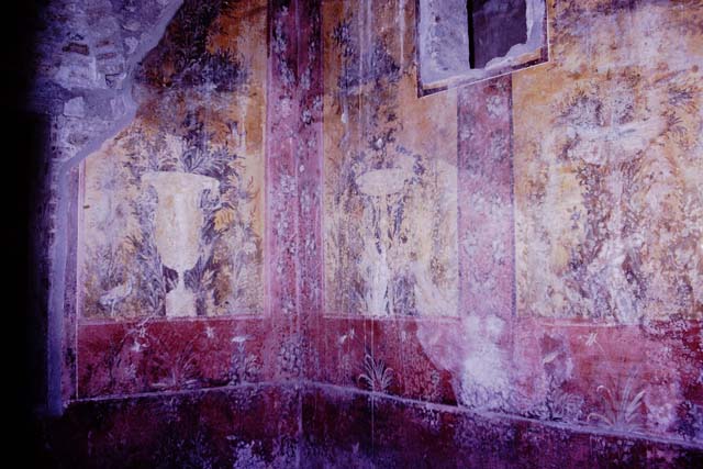 Oplontis, 1977. Room 68, south-west corner and west wall. Photo by Stanley A. Jashemski.   
Source: The Wilhelmina and Stanley A. Jashemski archive in the University of Maryland Library, Special Collections (See collection page) and made available under the Creative Commons Attribution-Non Commercial License v.4. See Licence and use details. J77f0368
